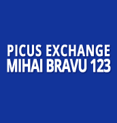 Picus Mihai Bravu 123