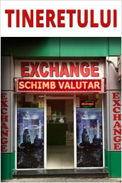 TINERETULUI
