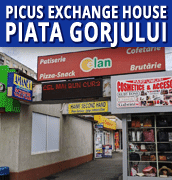 Picus Exchange House PIATA GORJULUI  langa cofetaria ELAN