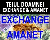 Teiul Doamnei Exchange & Amanet